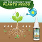 🏆 Last Day Special Price £9.99 ! 🔥BUY 1 GET 1 FREE🔥Plant Nutrient Solution