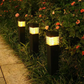 ☀️ LIMITED-TIME 50% OFF! 💡 Solar-Powered De-Icing Light – Smart Temperature Sensor, Eco-Friendly, Wireless & Weatherproof🌨️
