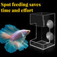 🐟 Last Day Special Price £8.99 ! ✨Buy more save more🎁Aquarium Feeding Ring and Tray
