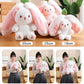 🎅Nice Gift🍓Strawberry Bunny Transformed into Little Rabbit🎀 Fruit Doll Plush Toy🐰