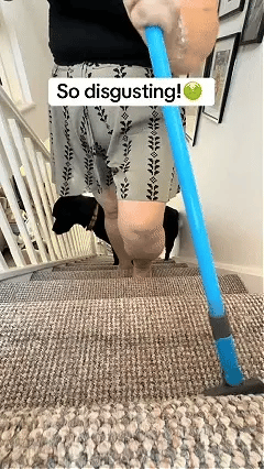 🏆 Last Day Special Price £9.99 ! 🧹Multi-Surface Floor & Bathroom Squeegee – Flexible Edge Cleaner for Water, Dust & Pet Hair 🐶