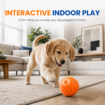 🏆 Last Day Special Price £9.99! 🐶Smart Interactive Bouncing Ball🐾