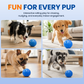 🏆 Last Day Special Price £9.99! 🐶Smart Interactive Bouncing Ball🐾