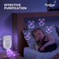 🌬️ LIMITED-TIME 50% OFF!🛡️Wall-Mounted Air Purifier – targets odors in bathrooms, closets & pet areas.🏠