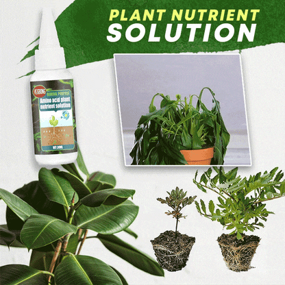 🏆 Last Day Special Price £9.99 ! 🔥BUY 1 GET 1 FREE🔥Plant Nutrient Solution