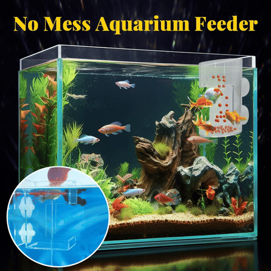 🐟 Last Day Special Price £8.99 ! ✨Buy more save more🎁Aquarium Feeding Ring and Tray