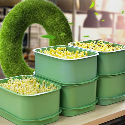 🏆 Last Day Special Price £9.99 ! 🔥Buy 3 Get 1 Free🔥Stackable Bean Sprout Growing Box
