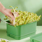 🏆 Last Day Special Price £9.99 ! 🔥Buy 3 Get 1 Free🔥Stackable Bean Sprout Growing Box