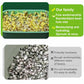 🏆 Last Day Special Price £9.99 ! 🔥Buy 3 Get 1 Free🔥Stackable Bean Sprout Growing Box