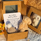 🎉Hot Sale 50% OFF💖Healing Doll Gift🎁Handmade Mini Plush Teddy Bear in Box