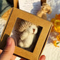 🎉Hot Sale 50% OFF💖Healing Doll Gift🎁Handmade Mini Plush Teddy Bear in Box