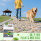 ⏳ 50% OFF NOW ! 🌿 Quick‑Drying Sticky Landscape Adhesive‑ Strong hold & easy application – Fast Cure, Weather‑Resistant & Multipurpose Outdoor Bonding Design ✨