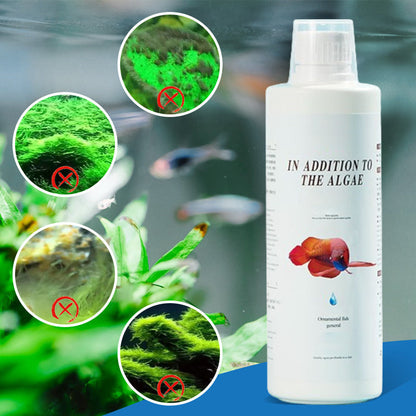 🏆 Hot Sale 50% OFF 🔥Buy more save more🎁Effective Algae Control for Aquarium