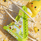 🏆 LIMITED-TIME 50% OFF! 🦆Electric Duck Climbing Stairs Track Toy✨