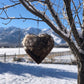 Handmade Bird Nesting Heart