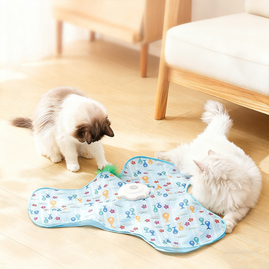 📢📢50% OFF !!!2-In-1 Hide and Seek Game Cat Toy