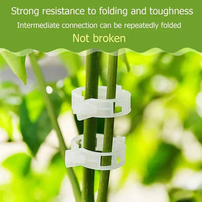 🏆 Last Day Special Price £9.77 ! 🔥Buy 3 Get 2 Free💥  Secured Plastic Plant Clip