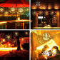 💐50% OFF ! LED Solar String Lights – 8 Lighting Modes 🌈🎆【Exceptional Price】