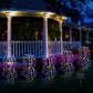 🎁Party Essentials💥Hot Sale 50% OFF 🔥Solar Garden Lights Outdoor Decor – 100 LEDs, IP55 Waterproof, Easy Install 🌙