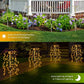 🎁Party Essentials💥Hot Sale 50% OFF 🔥Solar Garden Lights Outdoor Decor – 100 LEDs, IP55 Waterproof, Easy Install 🌙
