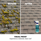 🏆 Last Day Special Price £9.99 ! 🤩Buy 2 Get 1 Free!🌧️Multi-Surface Roof Moss & Algae Cleaner Spray 🏠✨
