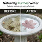 🐦 Last Day Special Price £9.99 ! 🔥Buy 2 Get 1 Free🎁 Universal Fit Bird Bath Purifier – 99.9% Pure Copper, Algae-Inhibiting & Chemical-Free Water Cleaning Design 🌿
