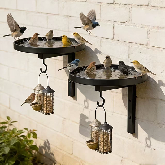 🐦 Last Day Special Price £9.99 ! 🏡Wall-Mounted Metal Bird Bath – Antique Bronze Finish 🛁