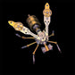 ⚙️ LIMITED-TIME 50% OFF! 🐝3D Metal Bee Puzzle Assembly Model Kit – Premium metal alloy, intricate gears & mechanical details. 🔧✨