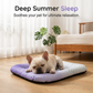 🐶 50% OFF! 💞50K+ SOLD!❄️Cooling Gel Mat for Pets – No refrigeration needed, instant heat relief. Breathable, non‑toxic. Helps pets sleep cool all summer! 🌿✨