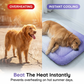🐶 50% OFF! 💞50K+ SOLD!❄️Cooling Gel Mat for Pets – No refrigeration needed, instant heat relief. Breathable, non‑toxic. Helps pets sleep cool all summer! 🌿✨