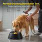 🐶 LIMITED-TIME 50% OFF!  ✨Silicone Dog Licking Bowl Food-grade soft silicone