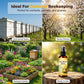 🏆 Last Day Special Price £9.77 ! 🐝Buy 2 Get 1 Free🎁Natural Outdoor Bee Attractant Spray