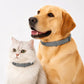 🏆 Last Day Special Price £9.77 ! 🔥Buy 2 Get 1 Free🎁Adjustable Flea & Tick Collars for Dogs & Cats