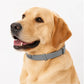 🏆 Last Day Special Price £9.77 ! 🔥Buy 2 Get 1 Free🎁Adjustable Flea & Tick Collars for Dogs & Cats