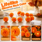 🎃 Last Day Special Price £9.99!🌼 Artificial Marigold Flower Led String Light – Perfect For Day Of The Dead & Halloween, 20 Leds, 8 Modes, Waterproof. Create A Festive Altar Or Spooky Porch! 🕯️🧡