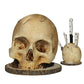 🏆 LIMITED-TIME 50% OFF! 💀 Creative Skull Resin Knife Holder 🗡️