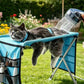 ⏳Limited-time 50% off🛋️2-in-1 Foldable Pet Grooming Bed🐱🐶