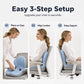 🪑 50% OFF NOW! ✨ Ergonomic Memory Foam Seat Cushion – With back support, pressure-relieving & versatile – All-day comfort for office, car & home 🌿