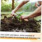 🏆 Last Day Special Price £9.99! 🌿Buy 2 Get 1 Free🎁 Patio Weeder Tool – Easily Clear Weeds From Paving Gaps
