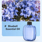 🏆 Last Day Special Price £9.99! 🌸Automatic Fragrance Spray for Home