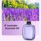 🏆 Last Day Special Price £9.99! 🌸Automatic Fragrance Spray for Home