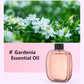 🏆 Last Day Special Price £9.99! 🌸Automatic Fragrance Spray for Home