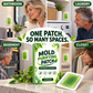 🏆 Last Day Special Price £9.99! 🧪Buy 1 Get 1 Free🎁6Pcs Mold Purifying Patches – Botanical Mildew Removal Pads